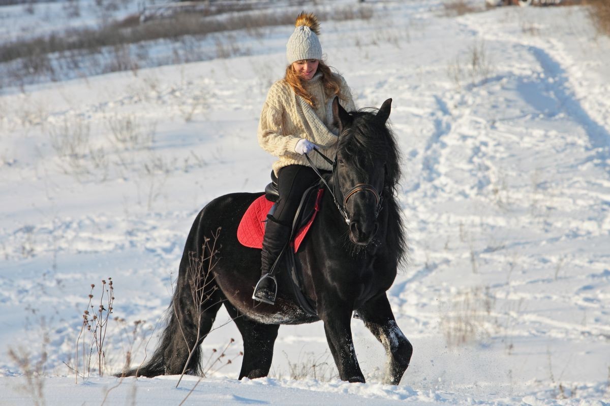 Beautiful young horse rider in winter countryside 